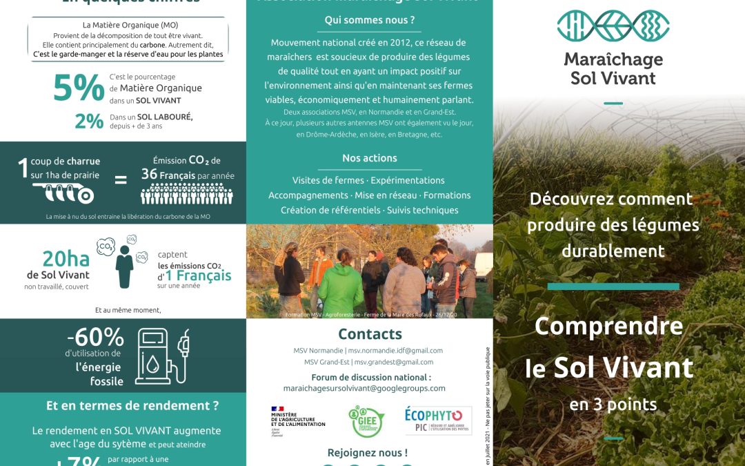 Le flyer explicatif du MSV c’est ici ! 