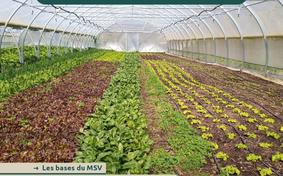  Le guide du MSV 2022 c’est ici ! 