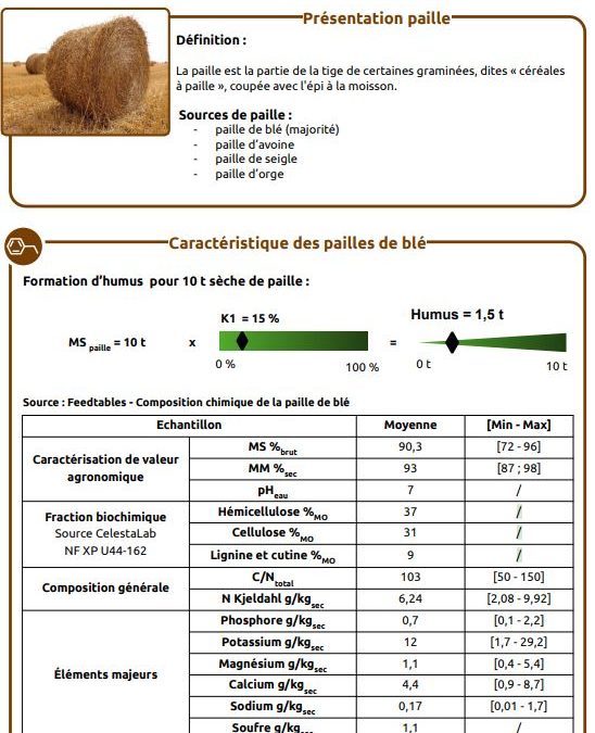 Les caractéristiques de la paille